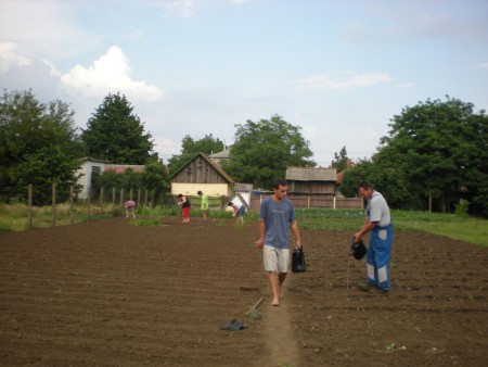  A vetemények öntözése